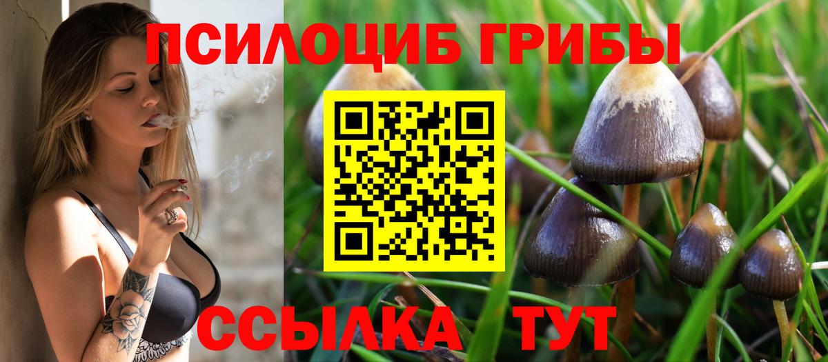 Галлюциногенные грибы MAGIC MUSHROOMS Чапаевск